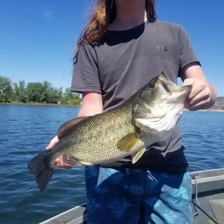 Banks Lake Fishing: Catch Big Walleye, Bass, Trout and Kokanee