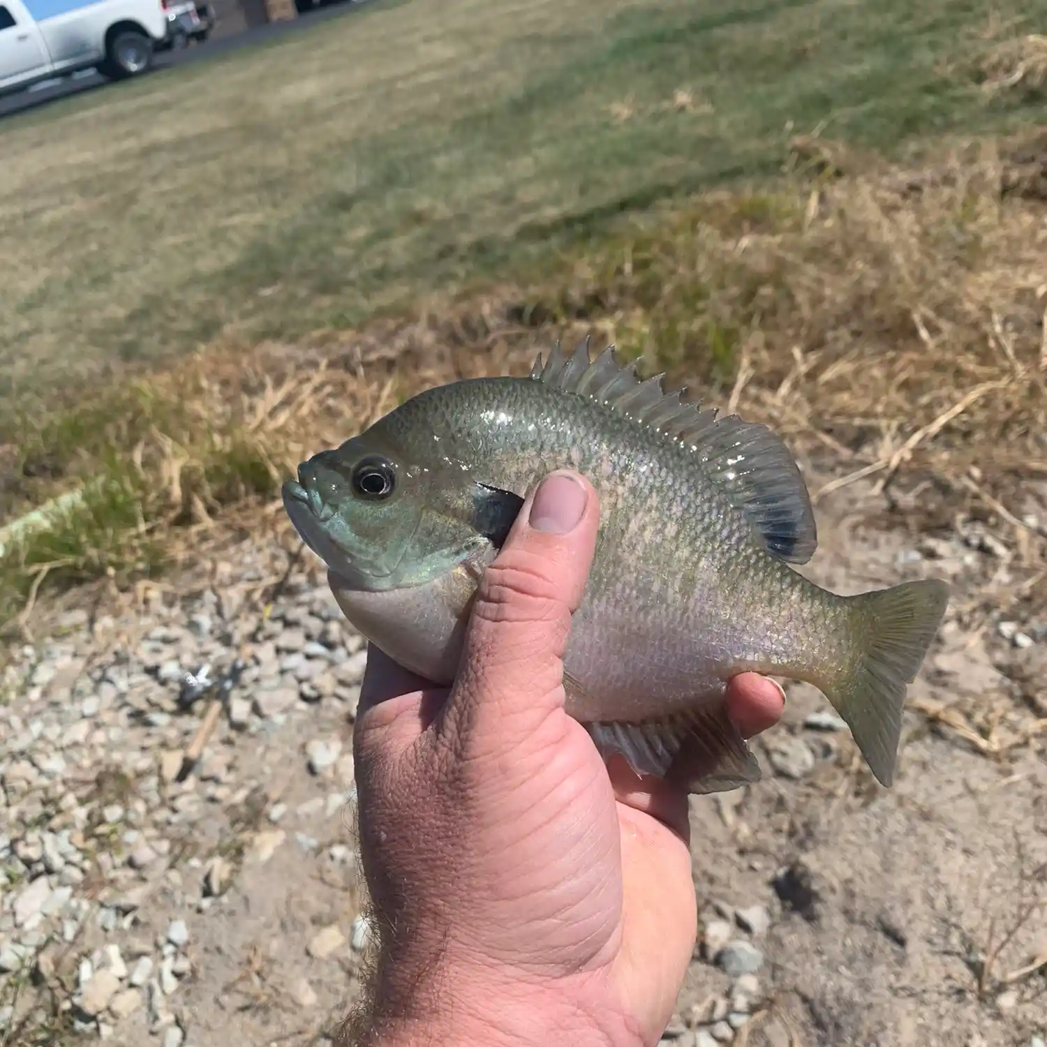 ᐅ South Fork Eel River fishing reports🎣• Lebanon, IN (United States)  fishing