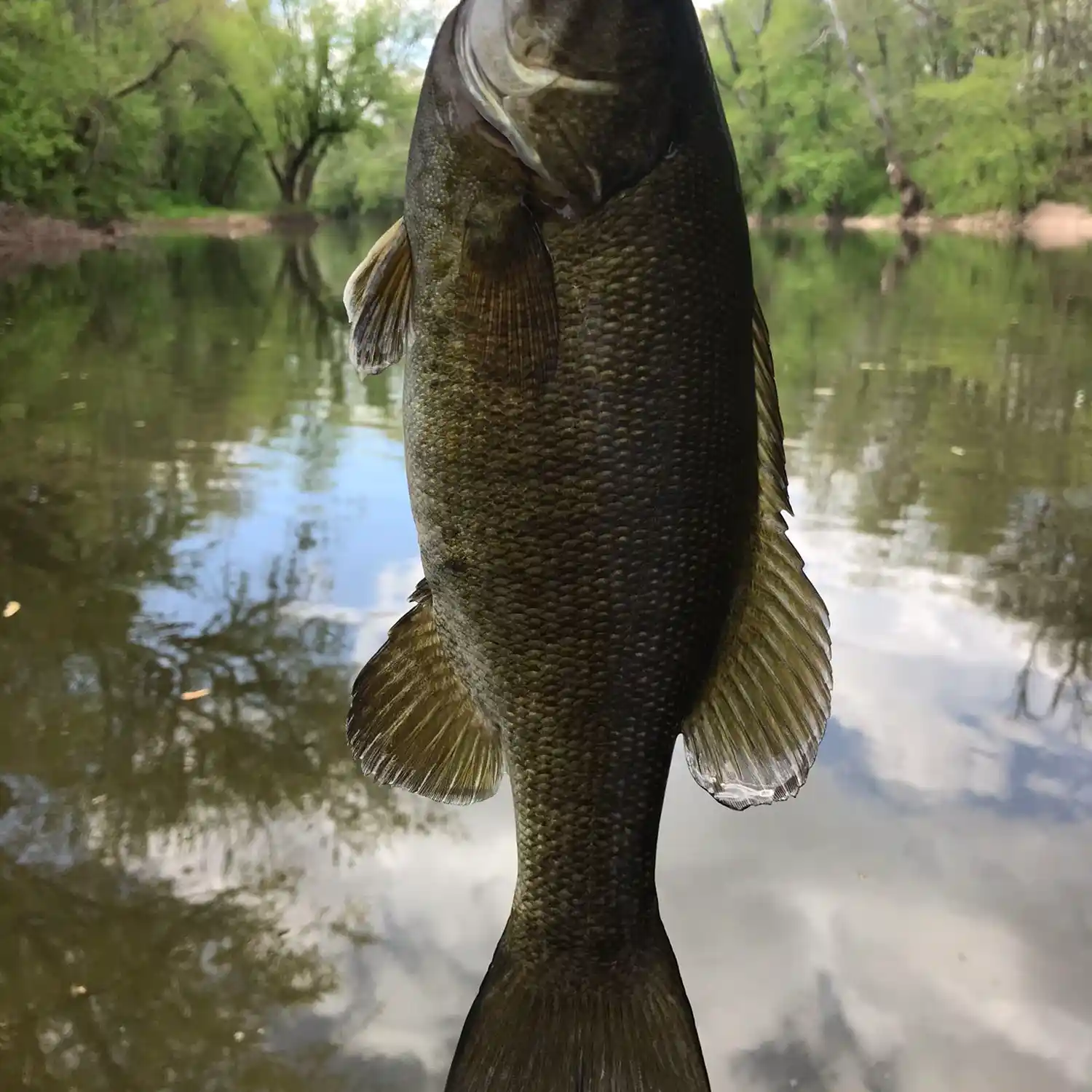 Monocacy River Fishing