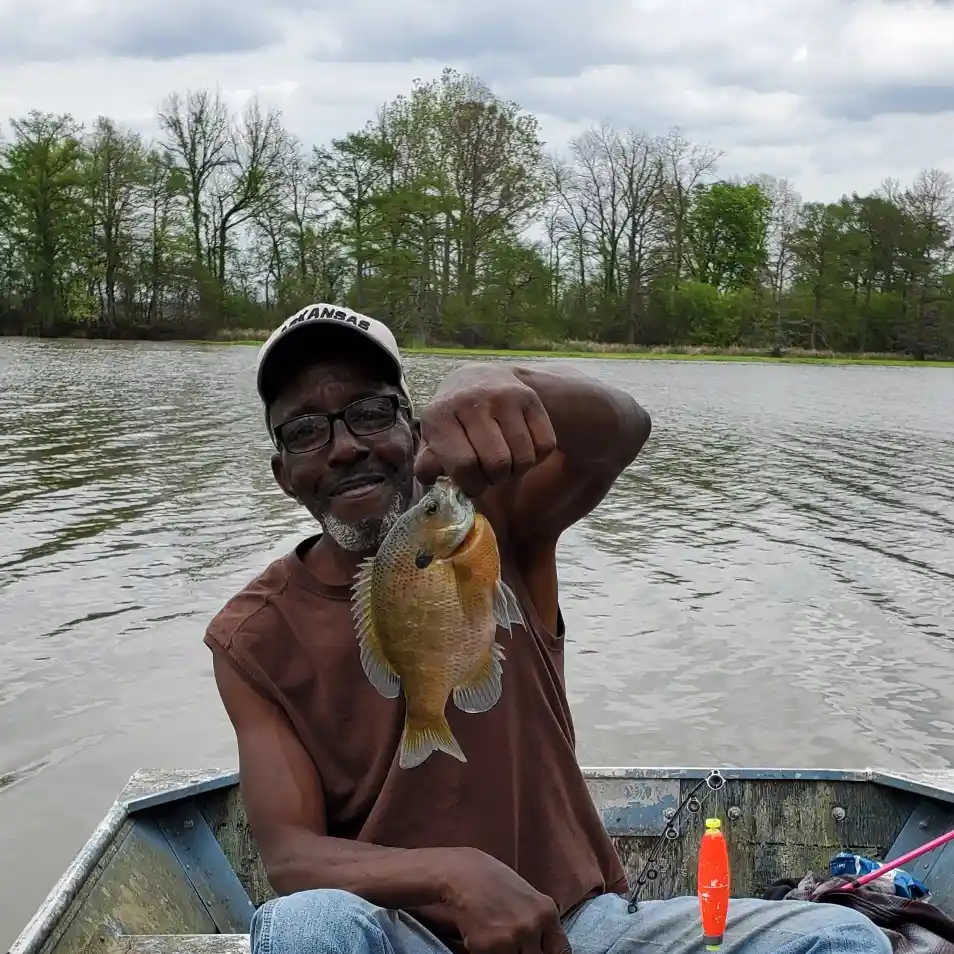 ᐅ Noblett Lake fishing reports🎣• West Plains, MO (United States) fishing