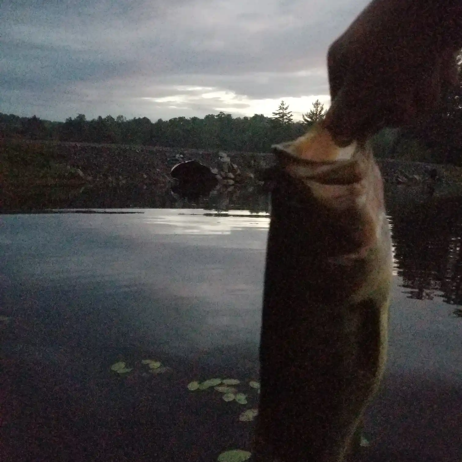 ᐅ Harrisburg Lake fishing reports🎣• Queensbury, NY (United States) fishing