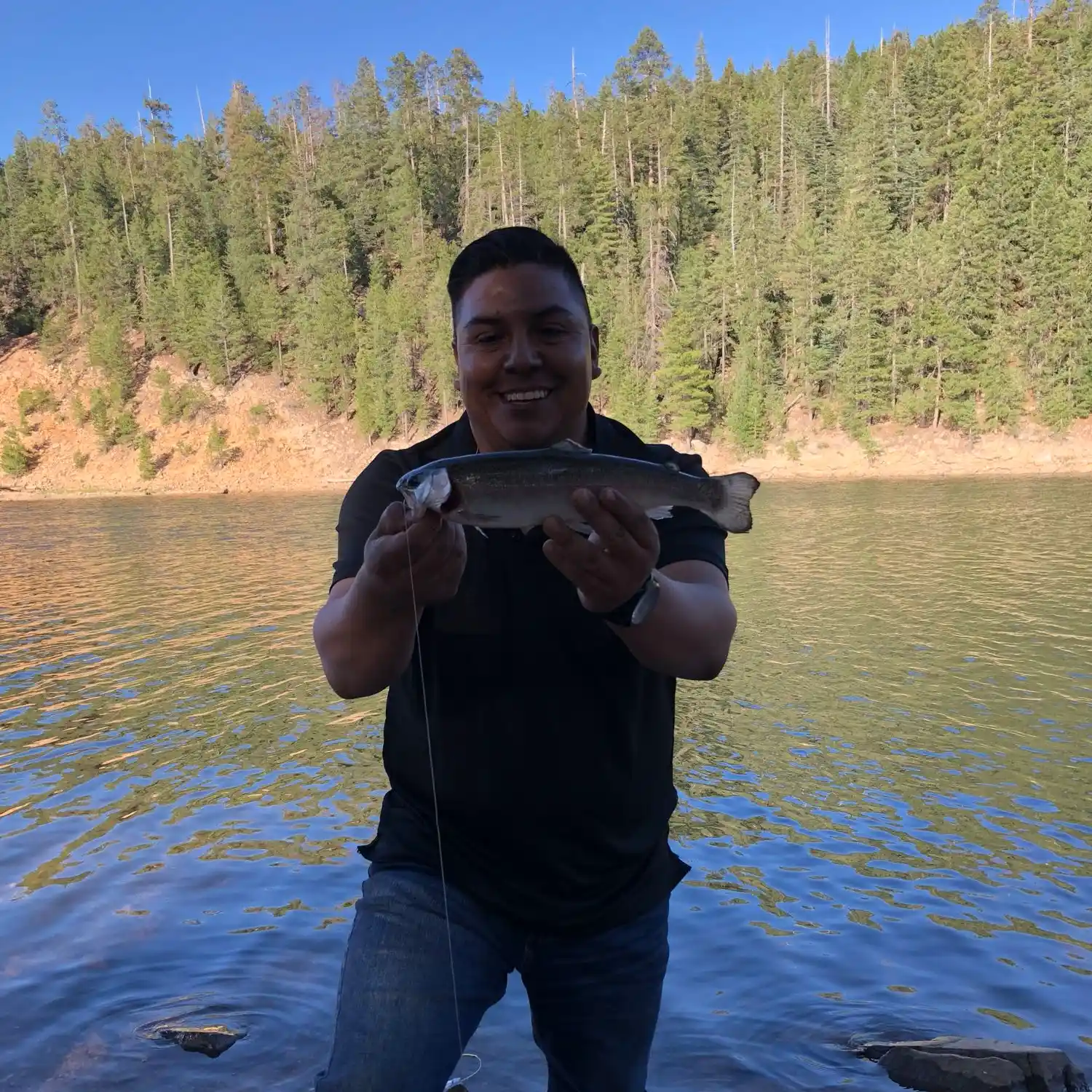 ᐅ Knoll Lake fishing reports🎣• Payson, AZ (United States) fishing