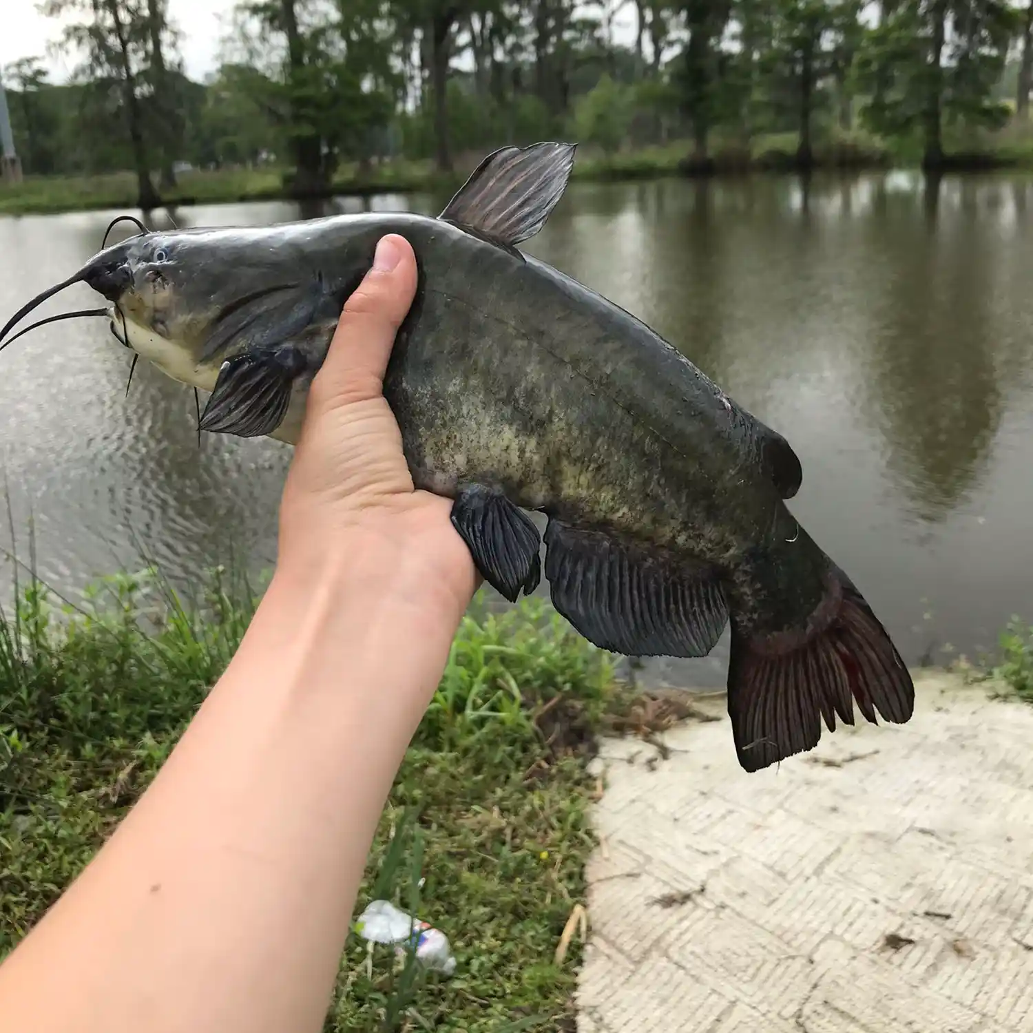 Fishing for Catfish at a spillway 