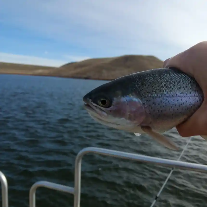 Bear Creek Lake Park offers great fishing close to Denver