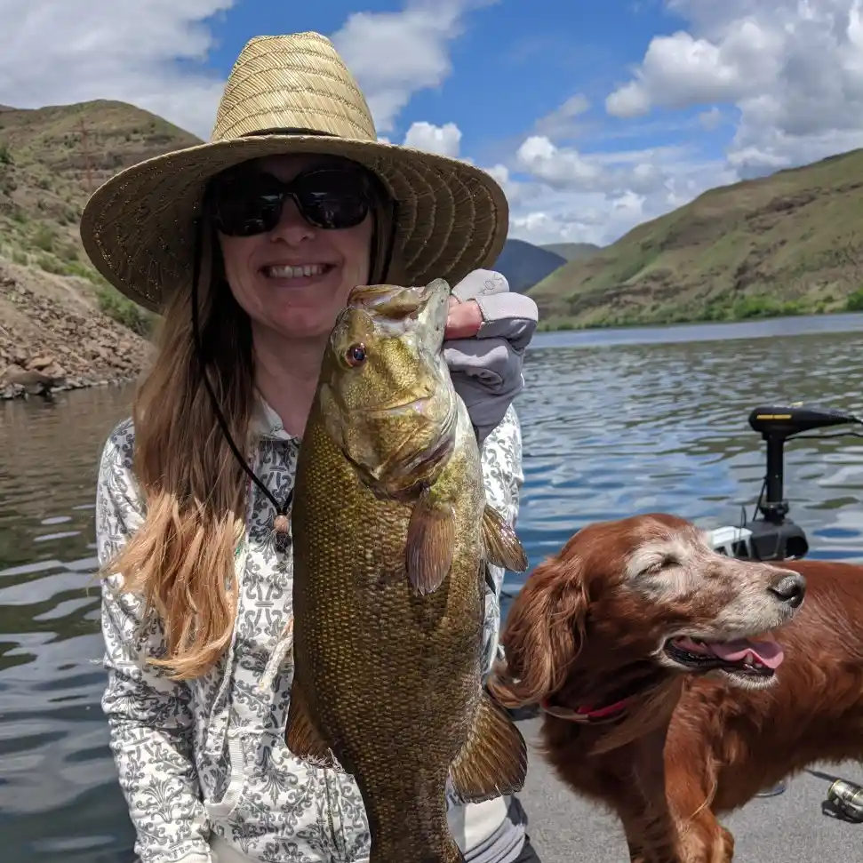 Summer Lake trout : r/Fishing