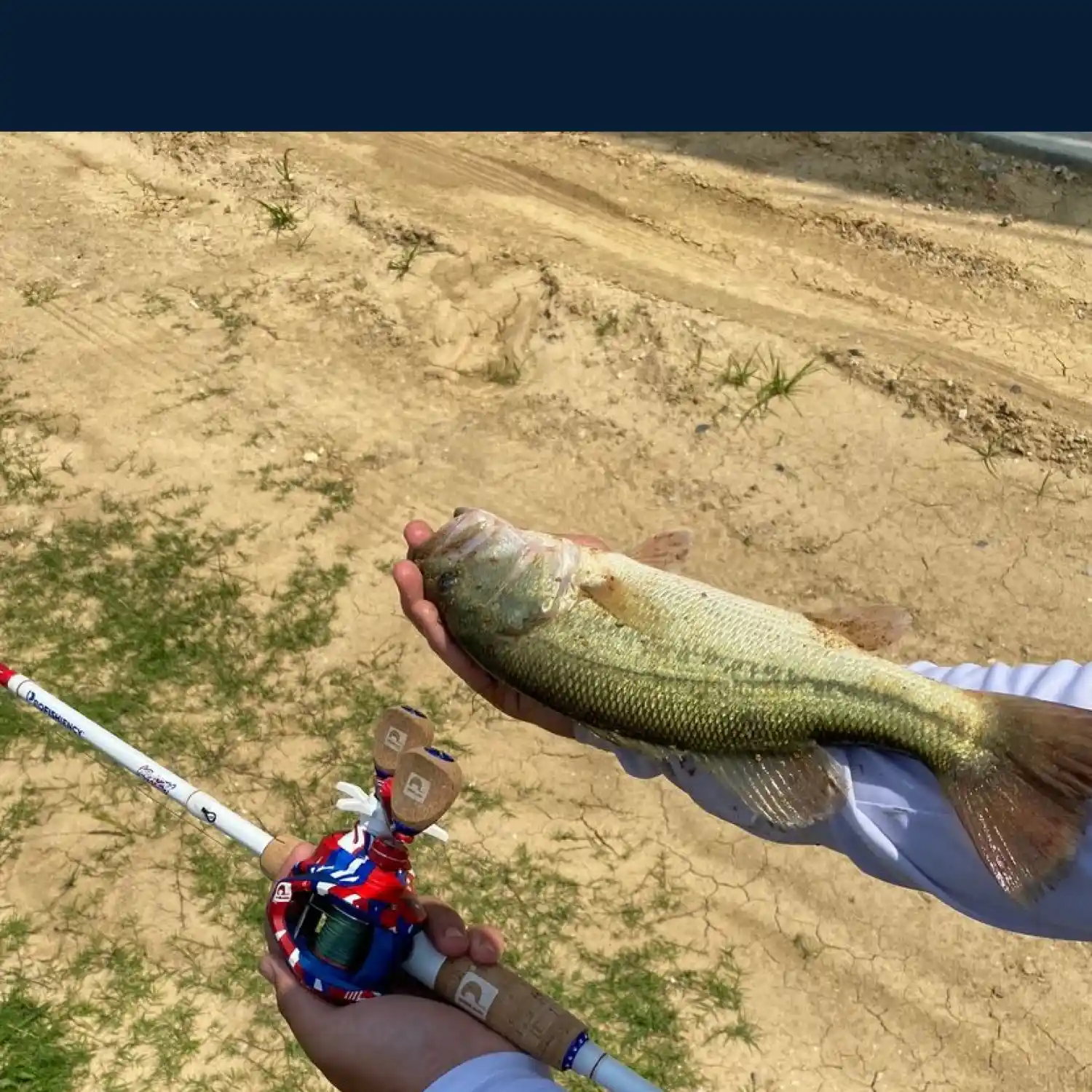 most liked catch image