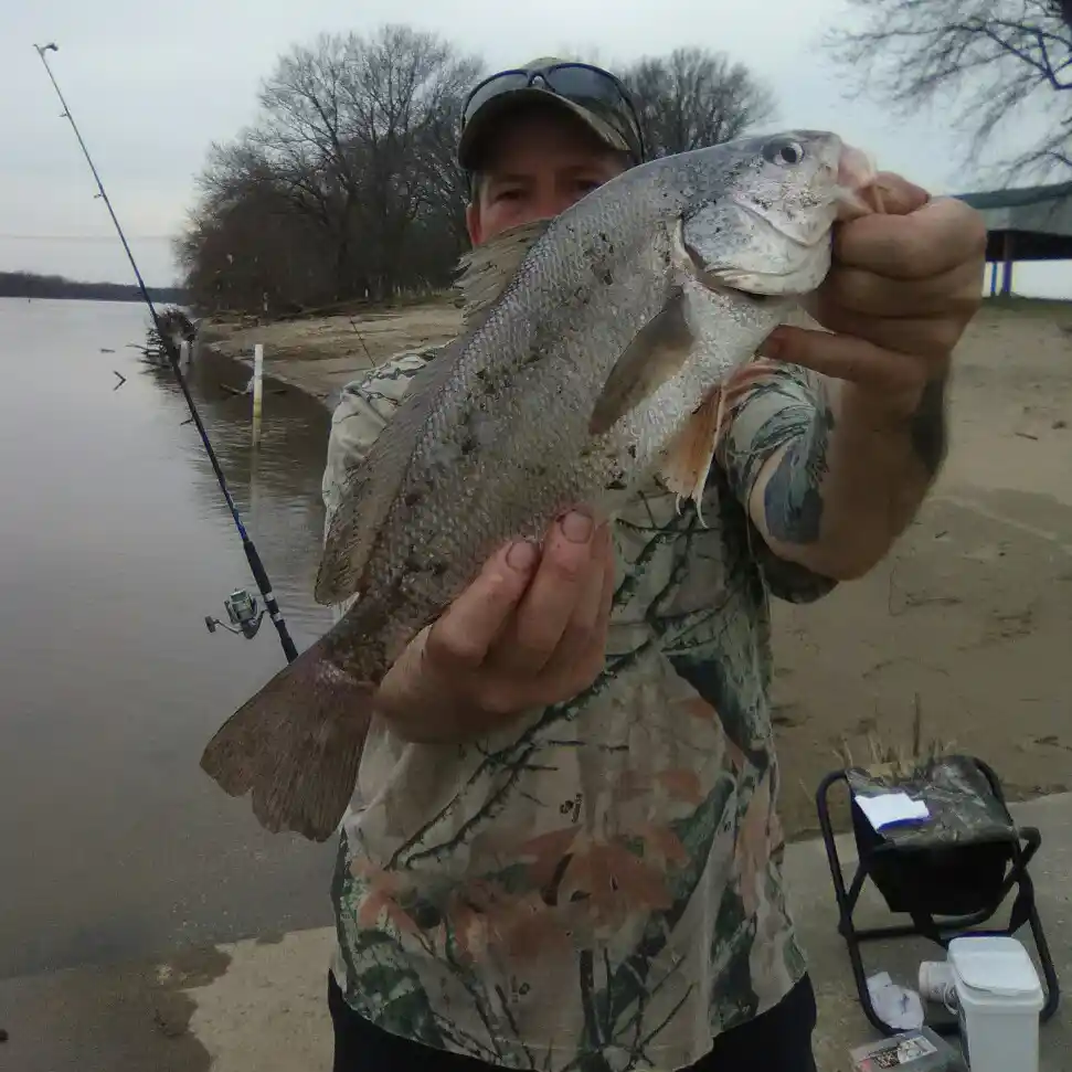 Illinois River Smallmouth Bass Fishing