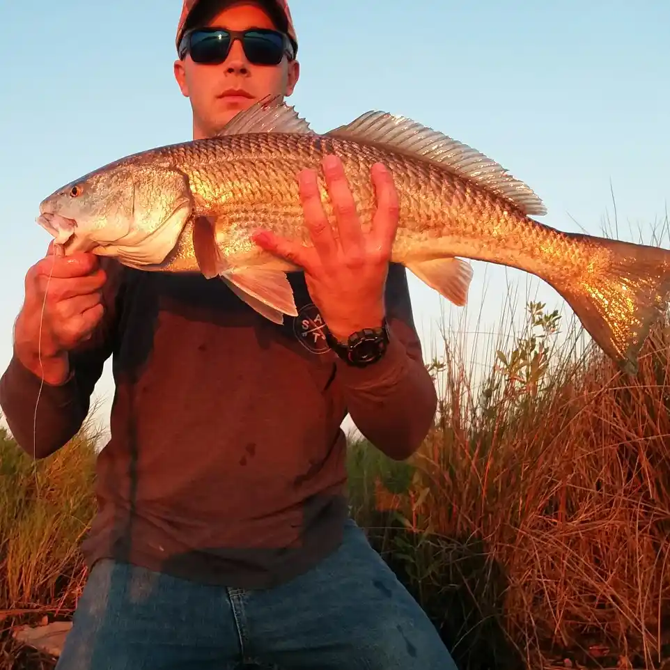 Indian River Lagoon Fishing Report, Lagooner Fishing