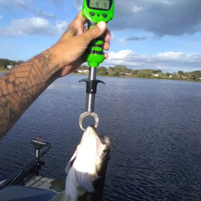 ᐅ Lake Chilton fishing reports🎣• Sebring, FL (United States) fishing