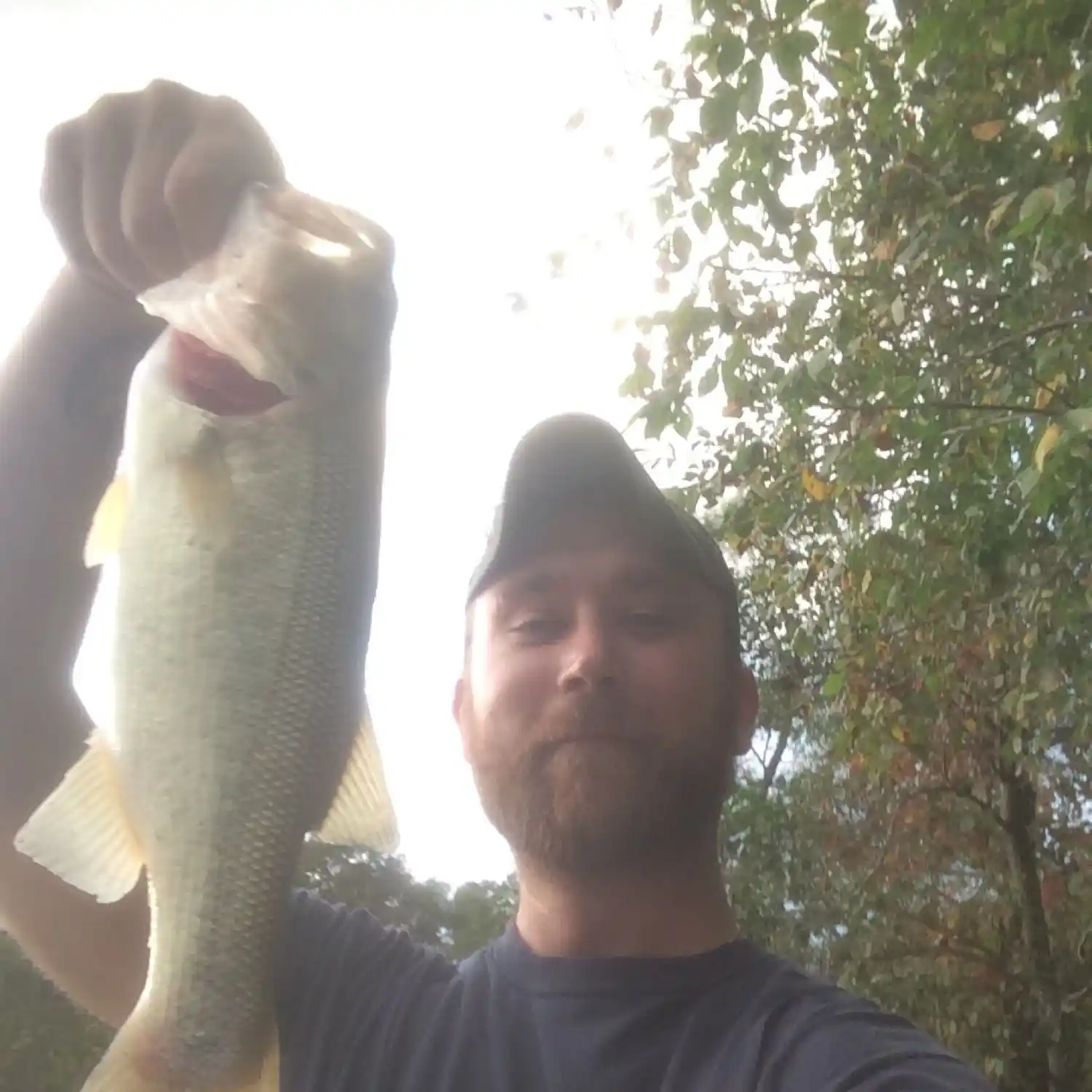 Pinchot Lake PA Fishing Reports, Maps & Hot Spots