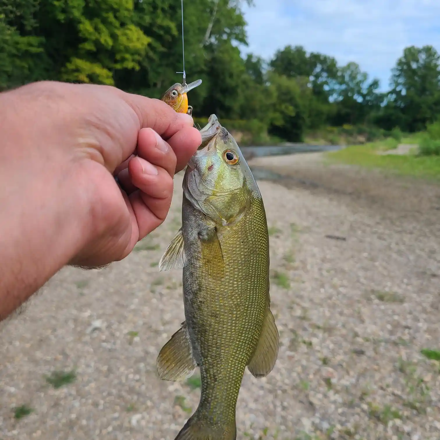 Rattle Snack Freshwater Lure