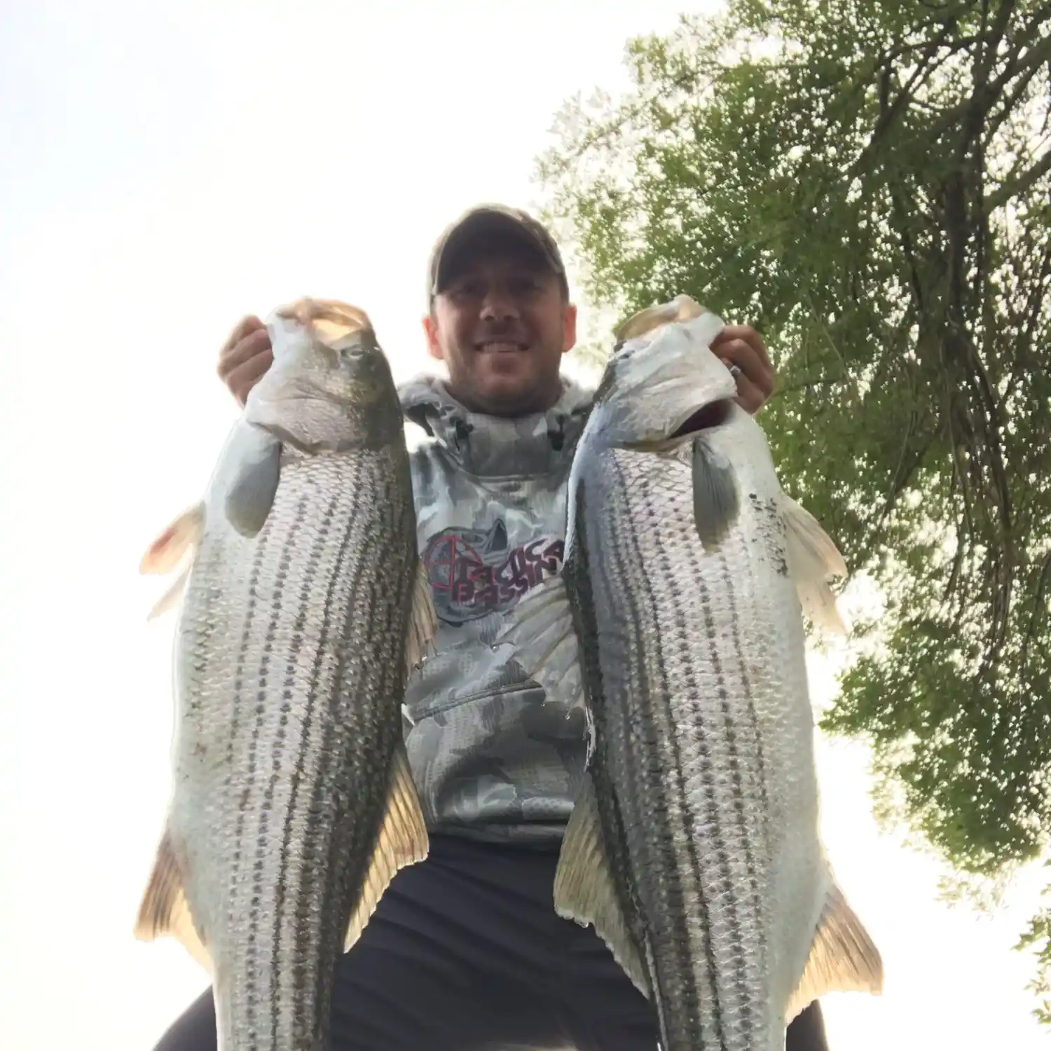 41 Striped Bass