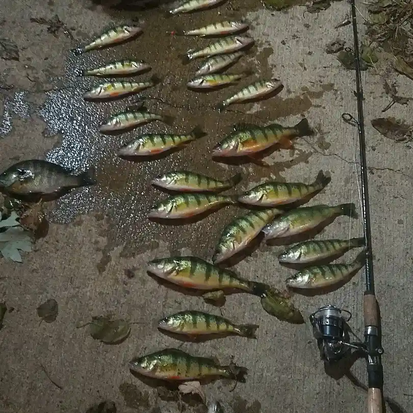ᐅ Summit Lake Reservoir fishing reports🎣• New Castle, IN (United States)  fishing