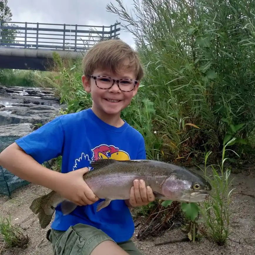 Williams Fork Reservoir CO Fishing Reports, Maps & Hot Spots