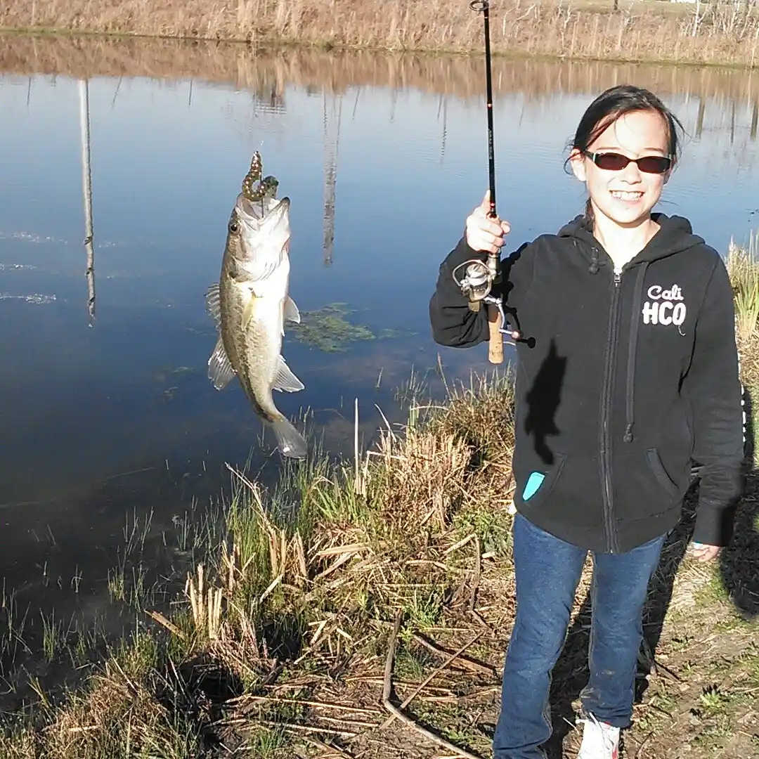 ᐅ Lynchburg Reservoir fishing reports🎣• Channelview, TX (United