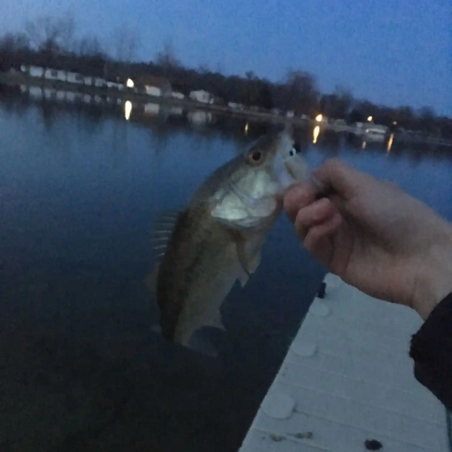 Barton Lake Indiana