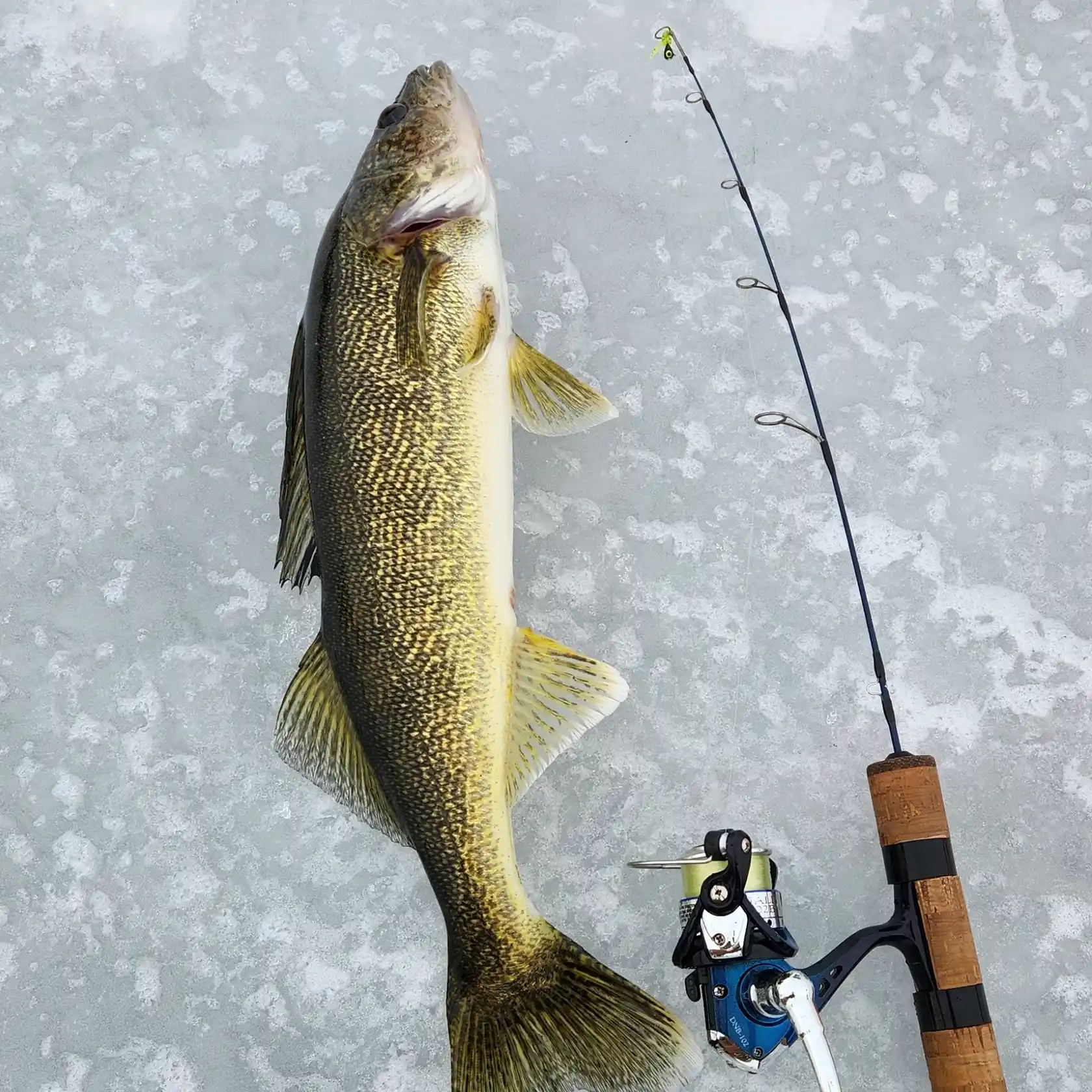 Say cheese! 😁🪣⁠ ⁠ 📷 @lokey.fishing