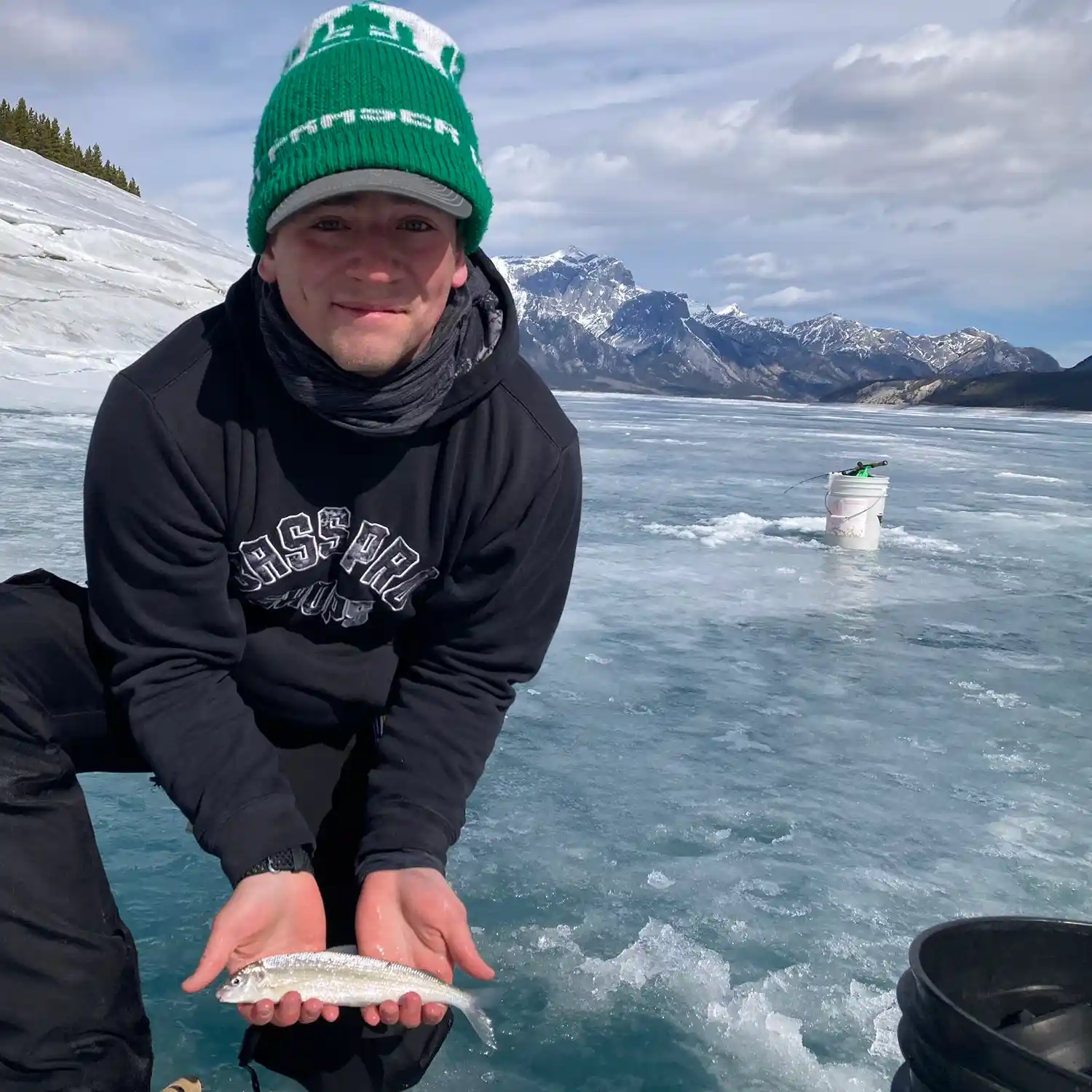 ᐅ Abraham Lake fishing reports🎣• Alberta, Canada fishing