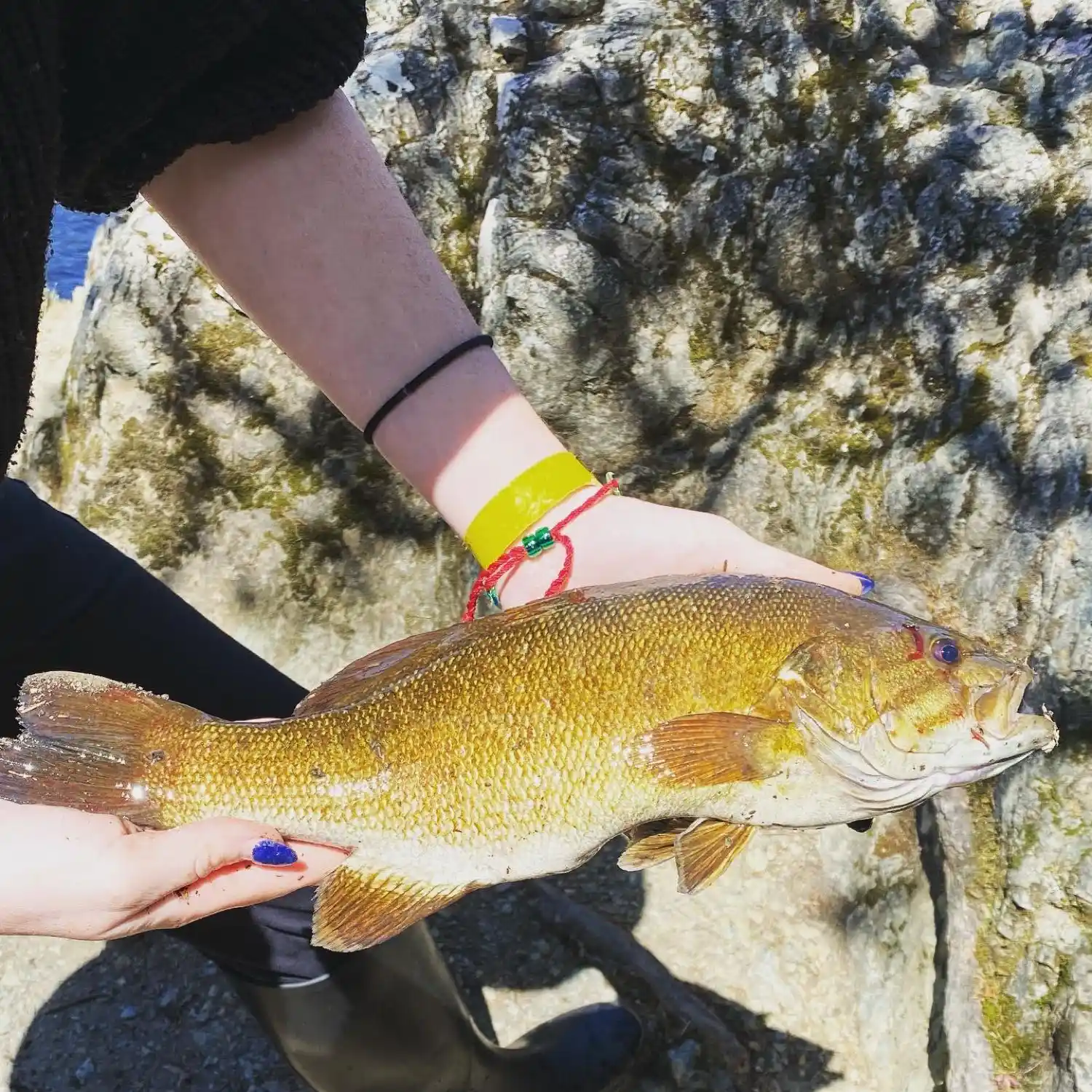 Fishing report: Anglers catching smallmouth bass, rainbow trout in
