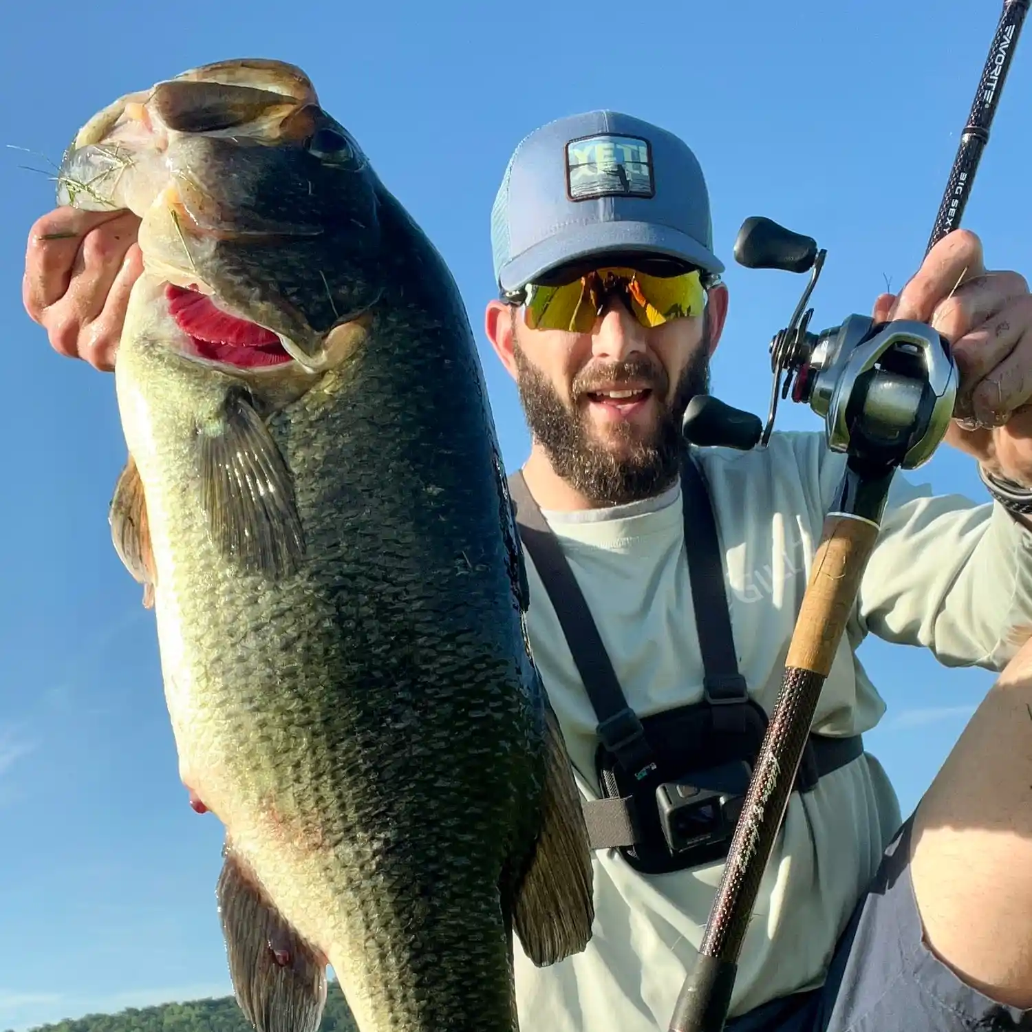 ᐅ Pinchot Lake fishing reports🎣• Dover, PA (United States) fishing