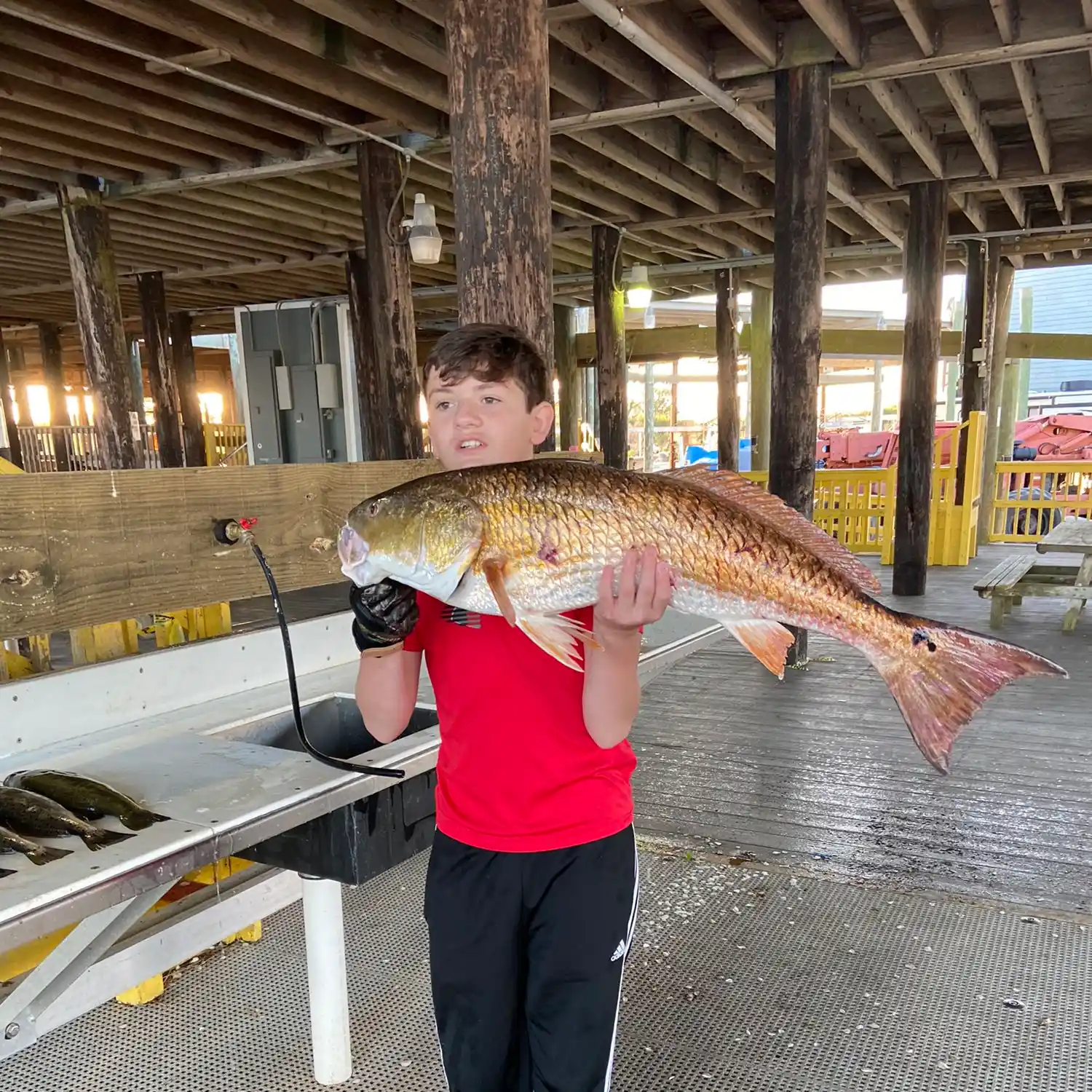 ᐅ Ellington Canal fishing reports🎣• Luling, LA (United States) fishing