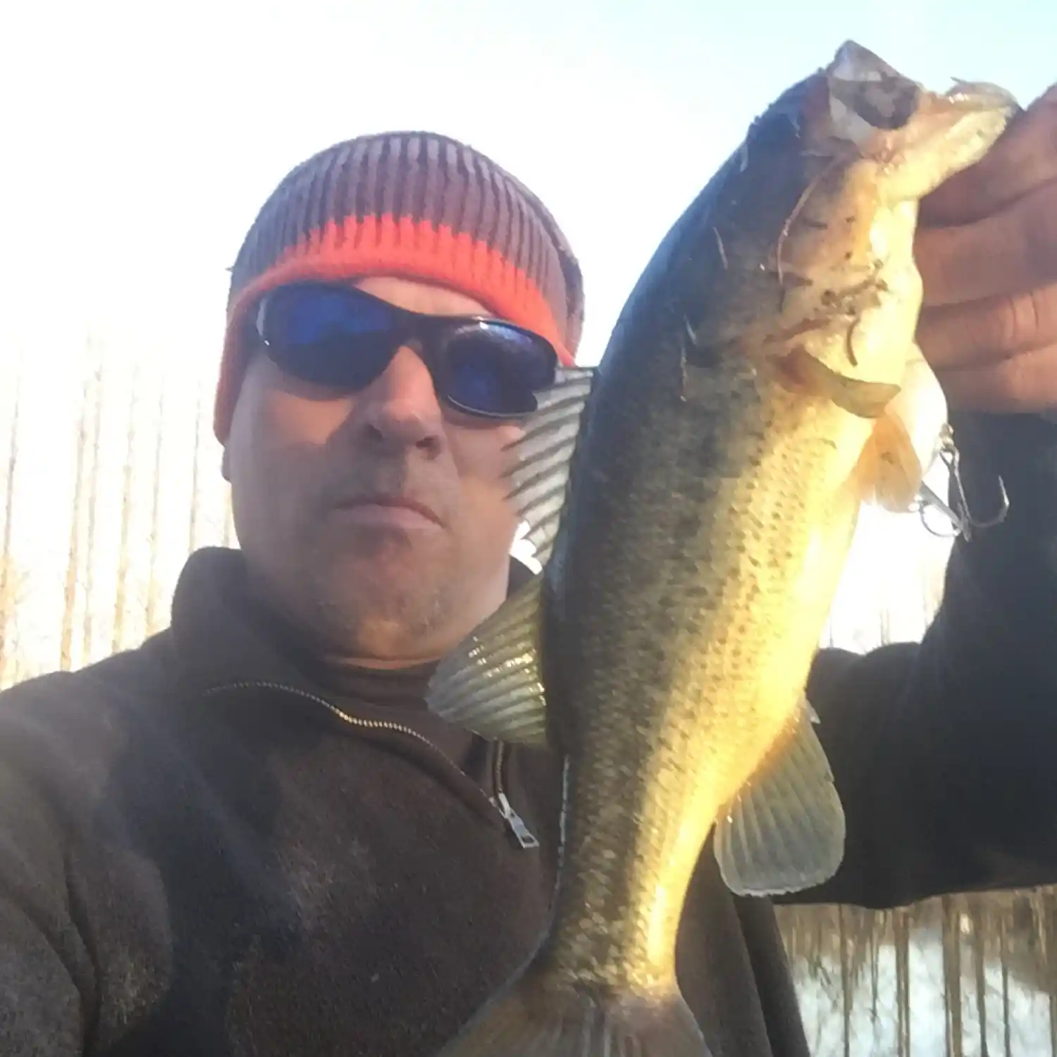 ᐅ Octoraro Lake fishing reports🎣• New Garden, PA (United States) fishing