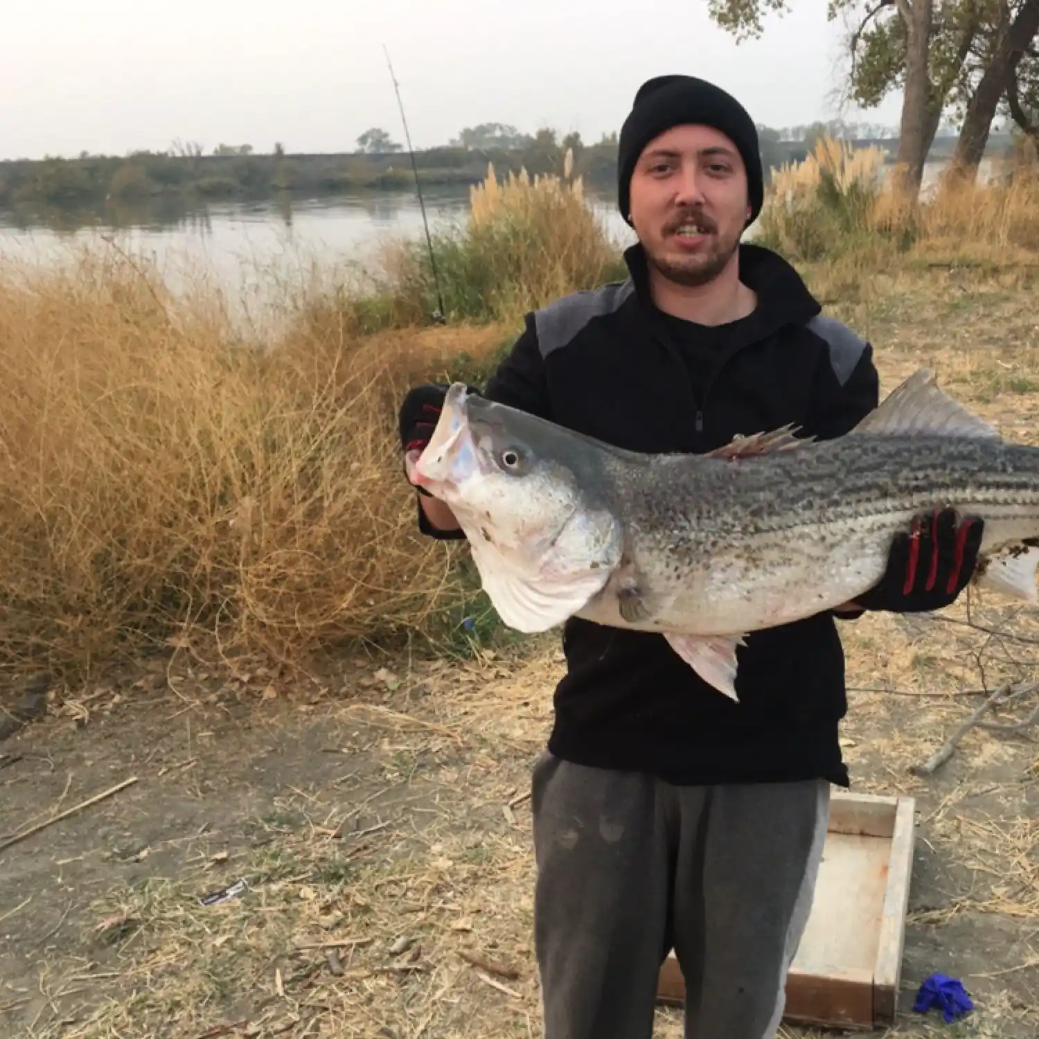 Fishing Report: Sacramento Deep Water Ship Channel aka DWC March