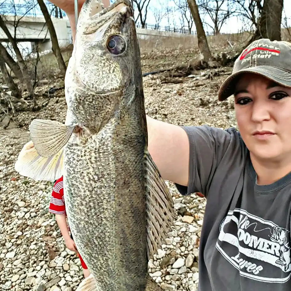 ᐅ Scioto River fishing reports🎣• Portsmouth, OH (United States) fishing
