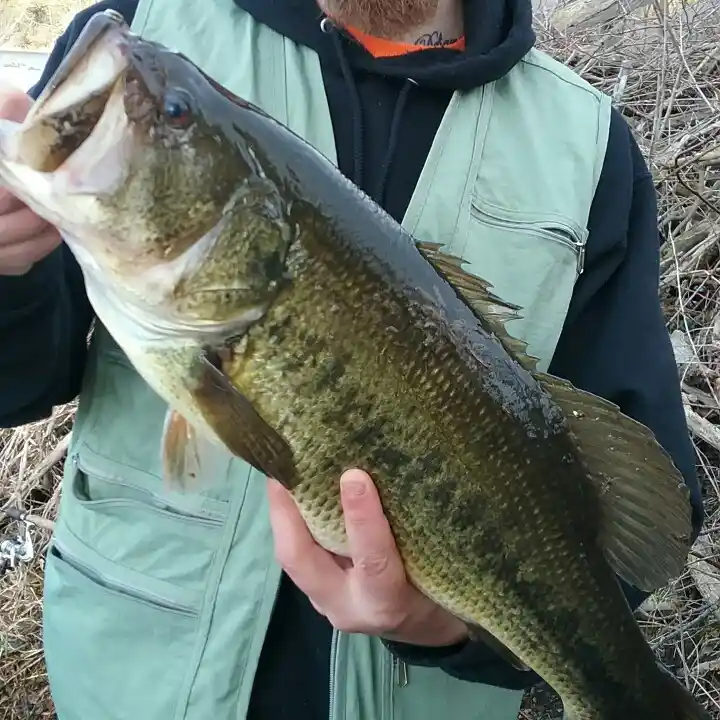 Woodman Pond fishing report