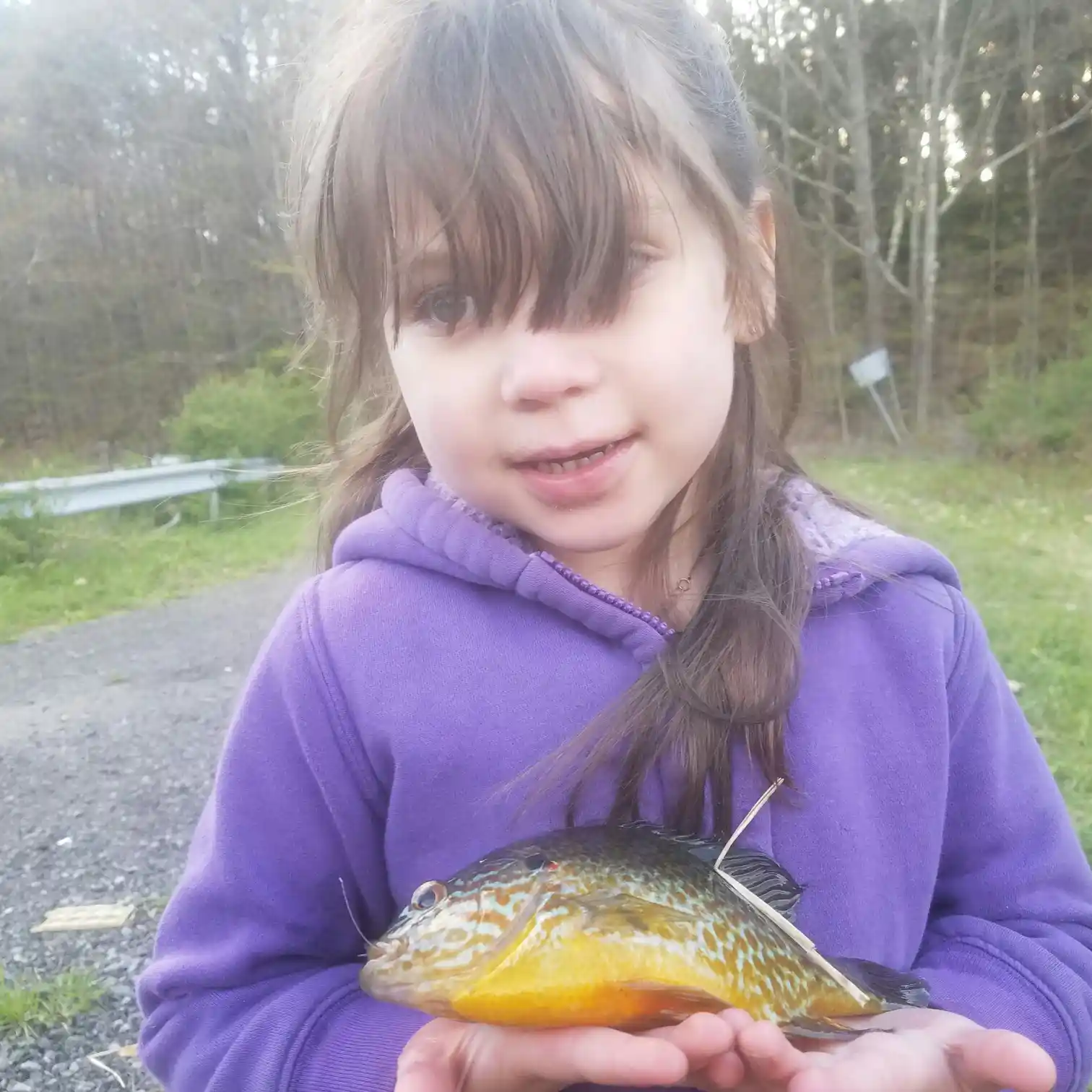 ᐅ Wilber Lake fishing reports🎣• Oneonta, NY (United States) fishing