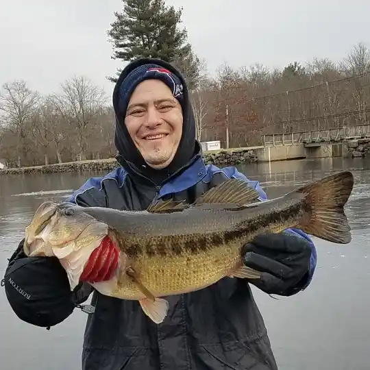 Beaumont Pond fishing reports Foxborough MA United States