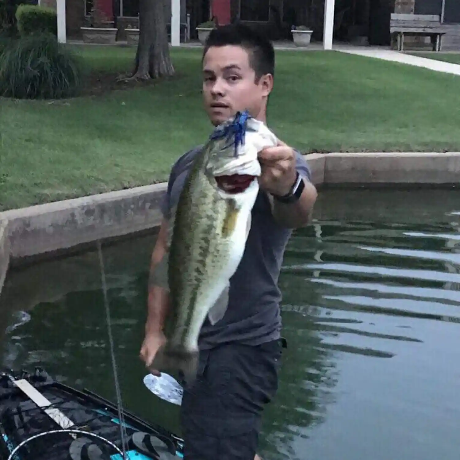 most liked catch image