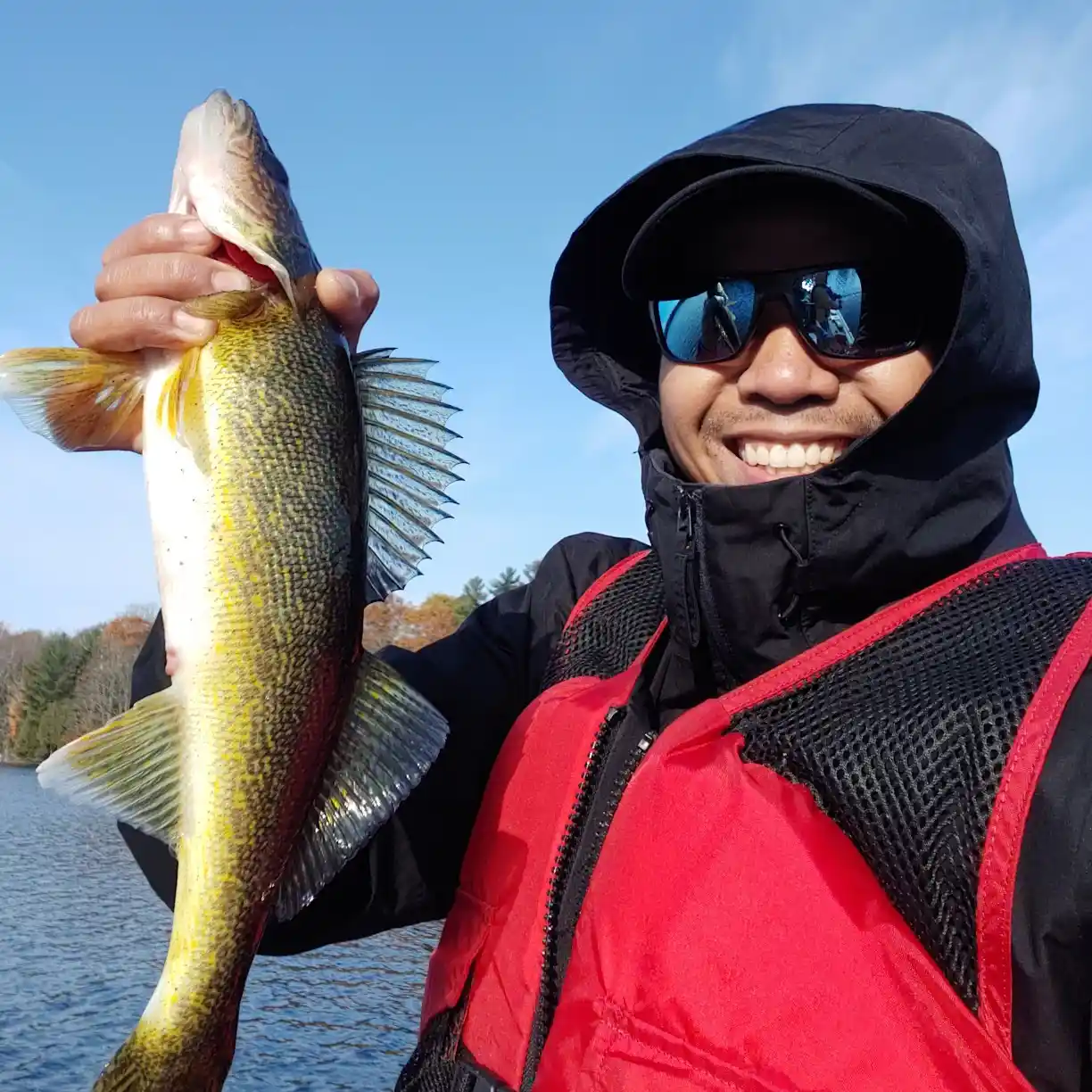 ᐅ South Lake fishing reports🎣• Ontario, Canada fishing