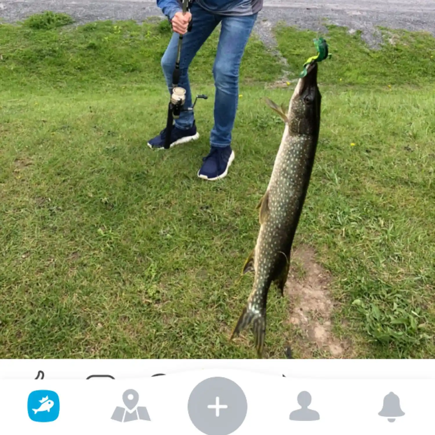 most liked catch image