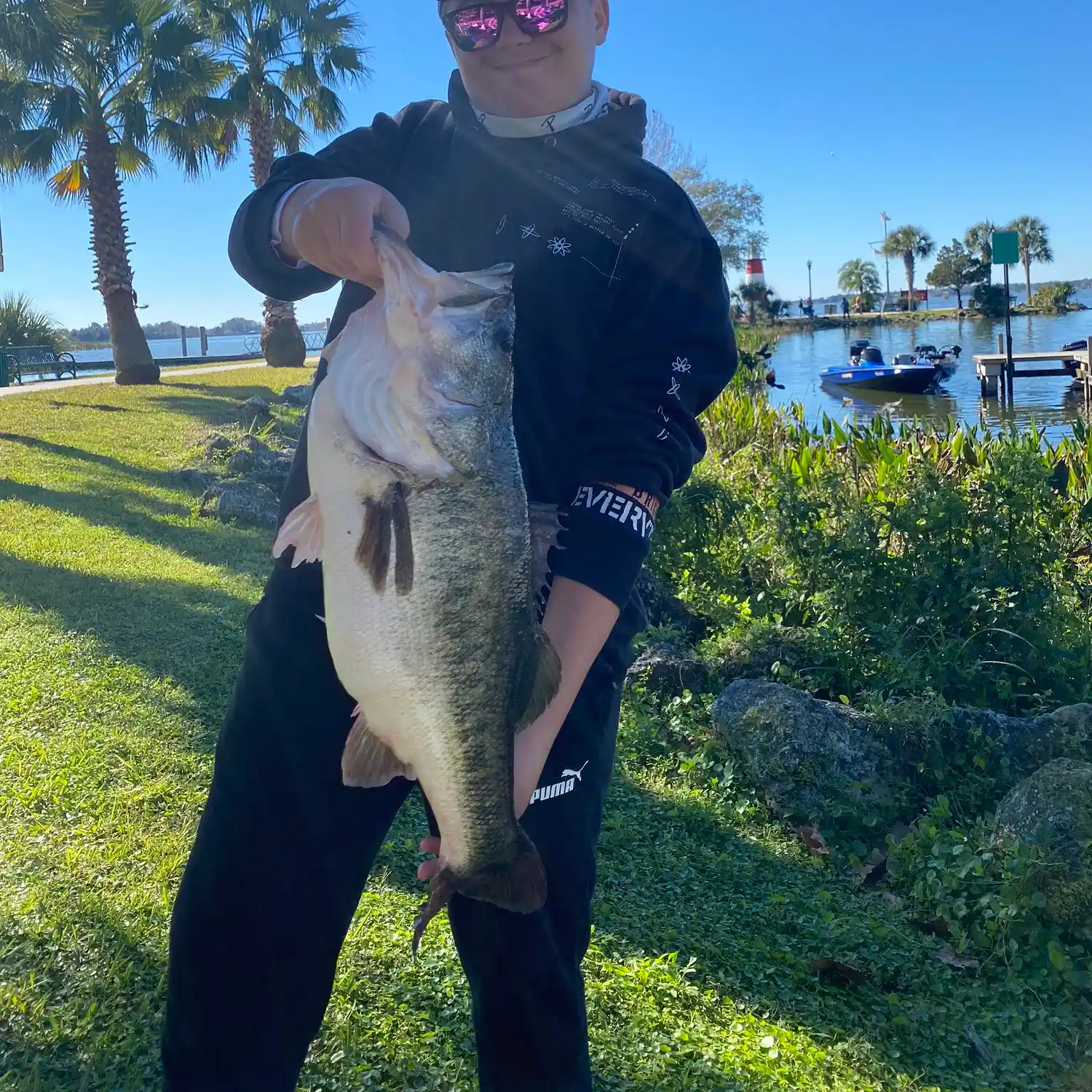 ᐅ Lake Ola fishing reports🎣• Mount Dora, FL (United States) fishing