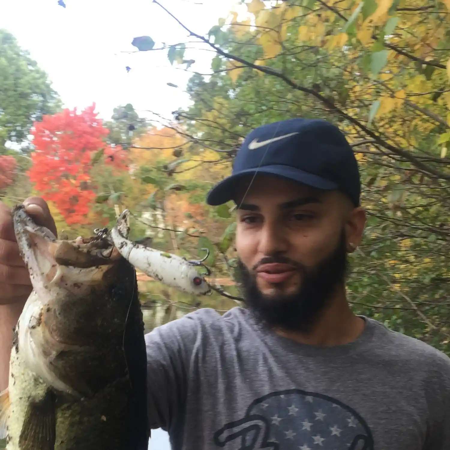 ᐅ Watershops Pond fishing reports🎣• Springfield, MA (United States) fishing