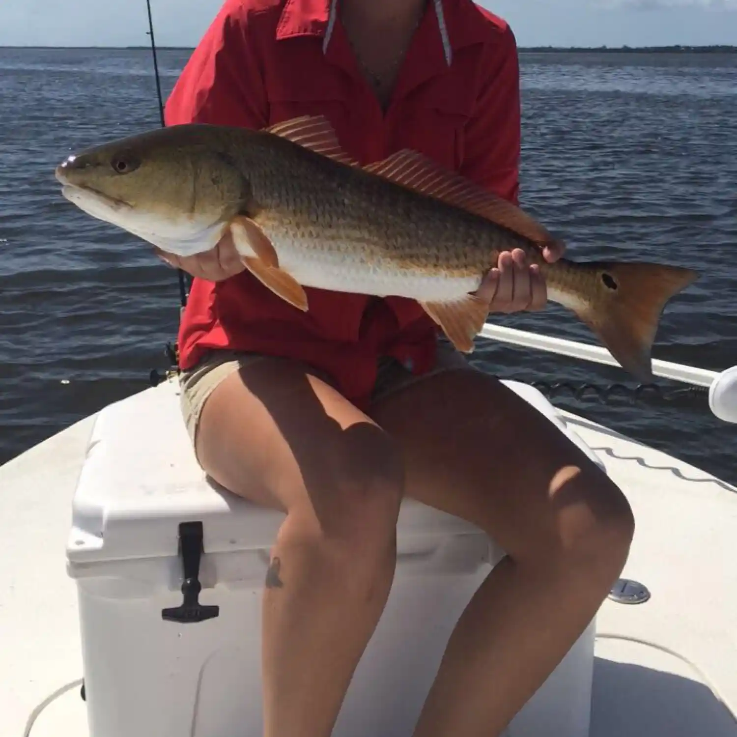 ᐅ Jewfish Creek fishing reports🎣• Florida City, FL (United States) fishing