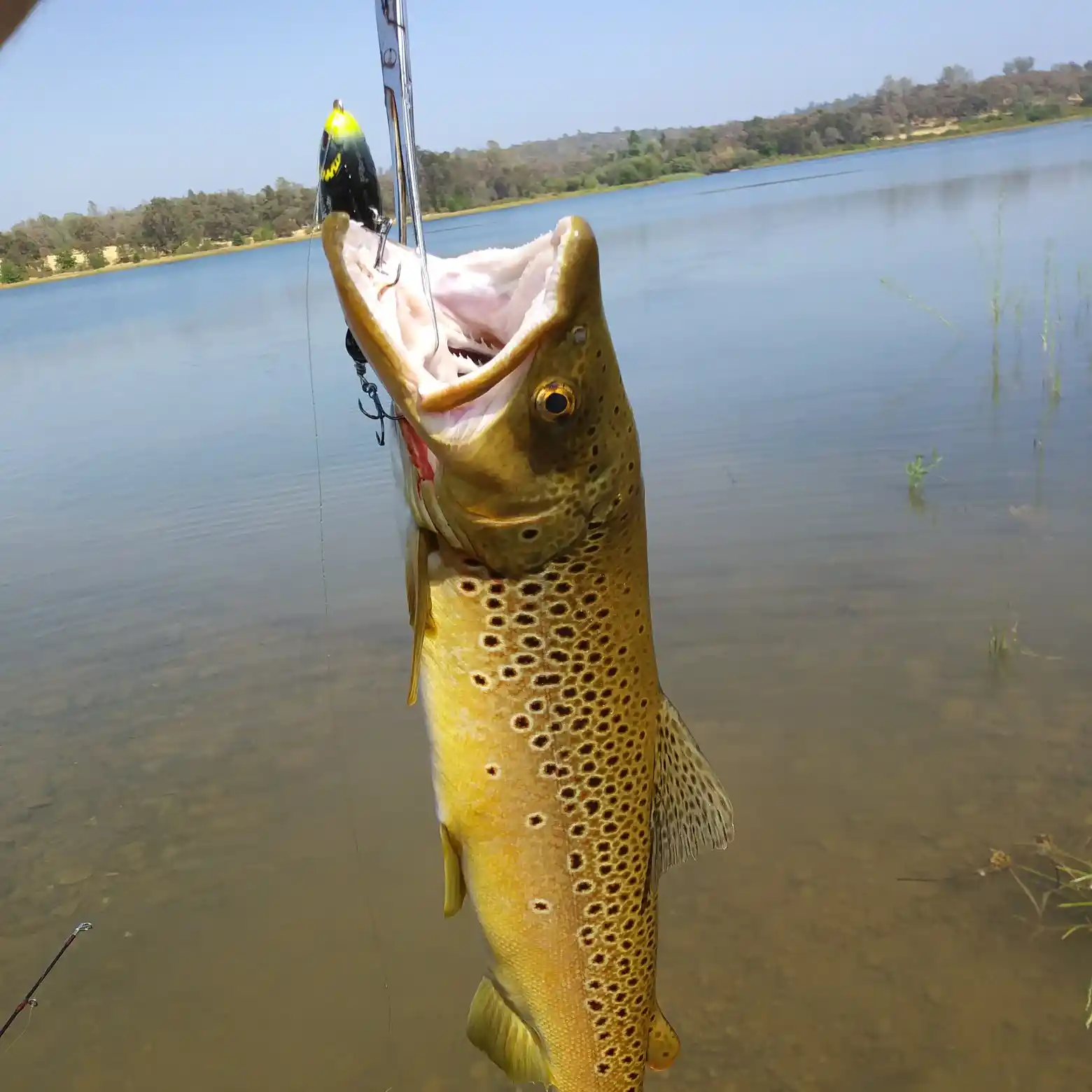 Rock Creek Lake - Northern California Private Fishery