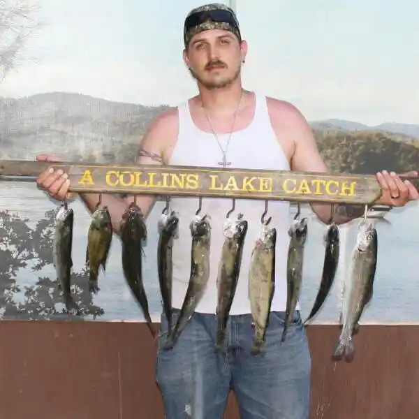 ᐅ Poncho Creek fishing reports🎣• Stevens Point, WI (United States) fishing