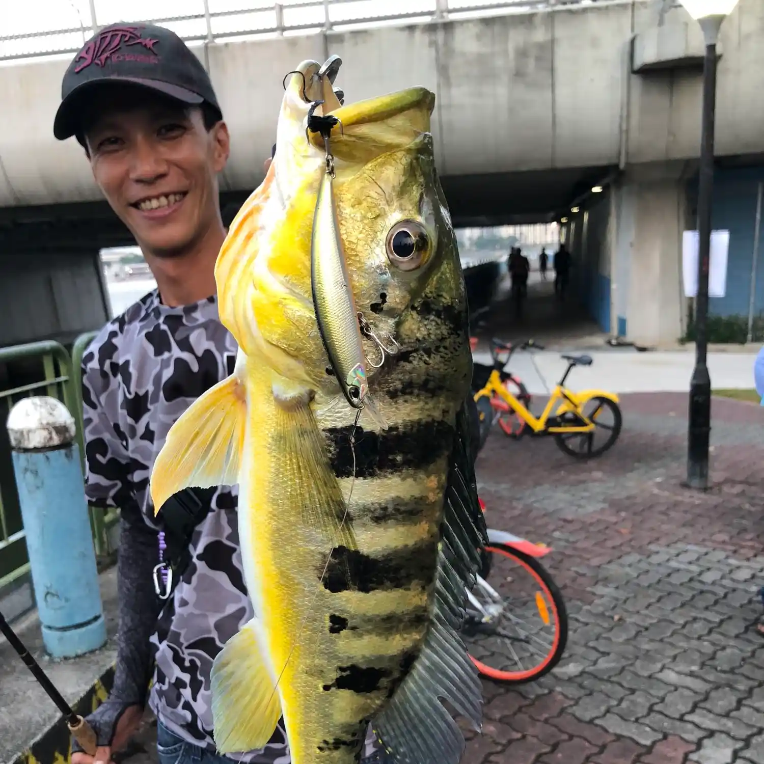 ᐅ Singapore River fishing reports🎣• Singapore fishing