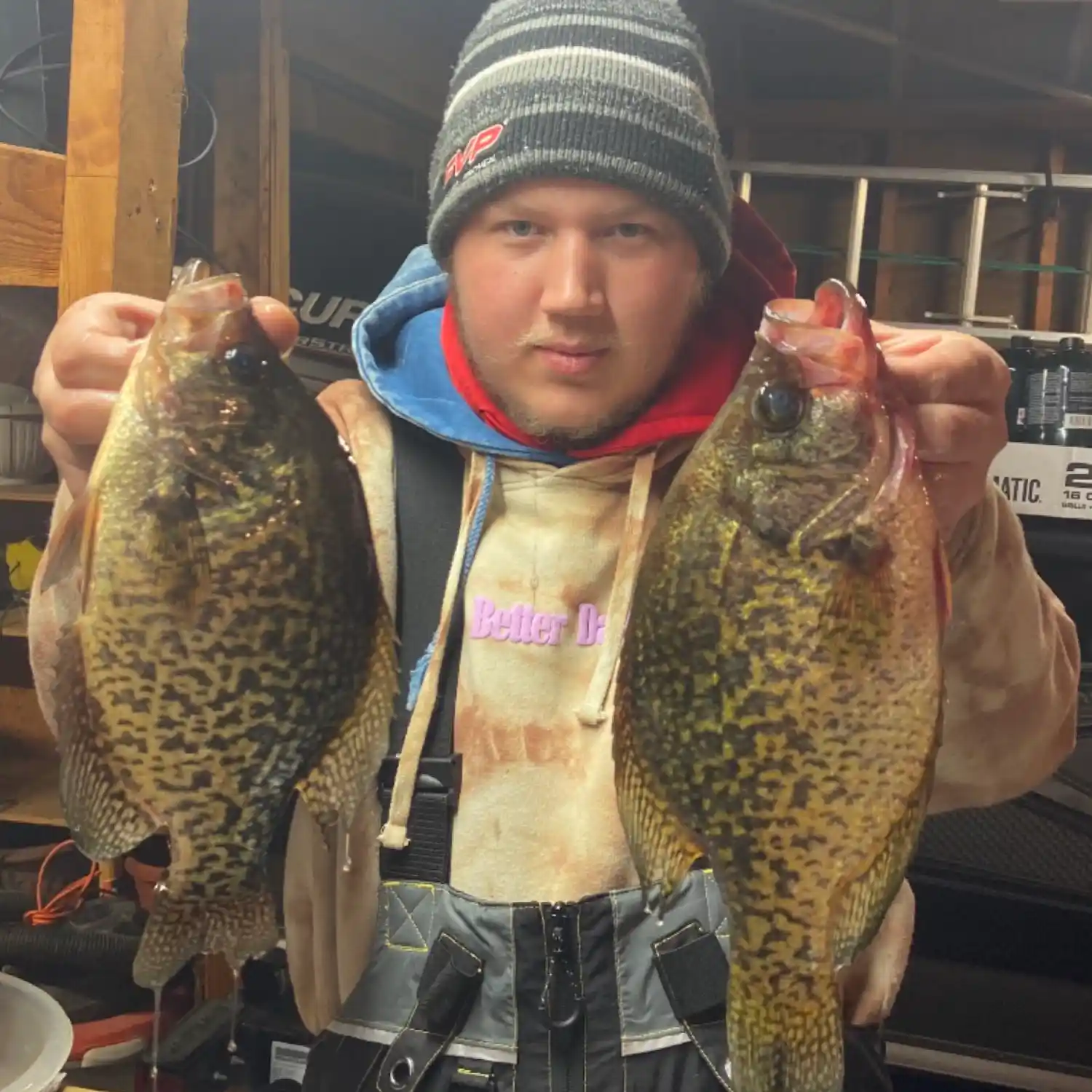 ᐅ Lake Osakis fishing reports🎣• Alexandria, MN (United States) fishing