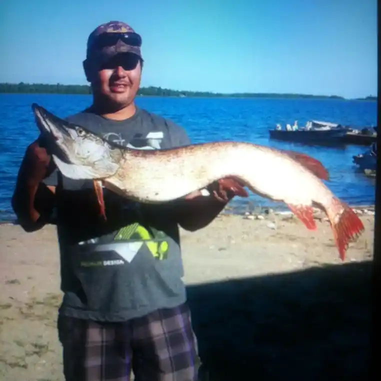 ᐅ Baie Fine fishing reports🎣• Ontario, Canada fishing