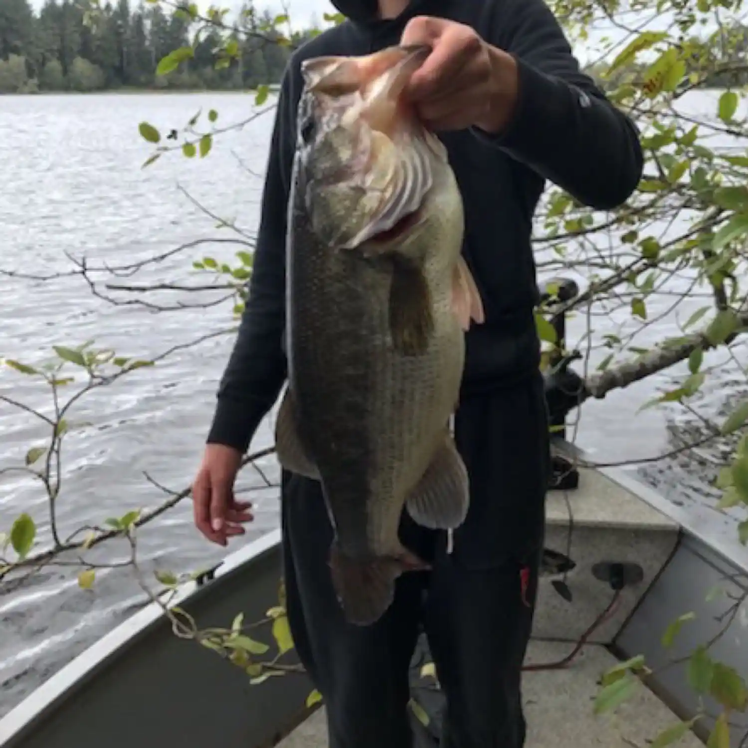 ᐅ Cullaby Lake fishing reports🎣• Astoria, OR (United States) fishing