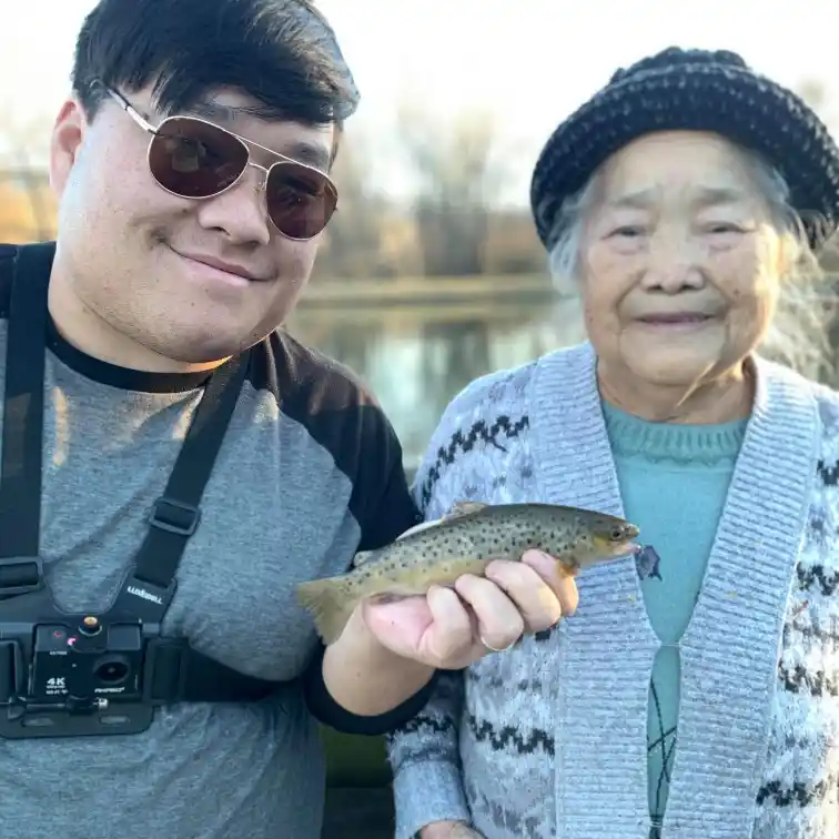 Charles D. Owen District Park fishing reports Asheville NC