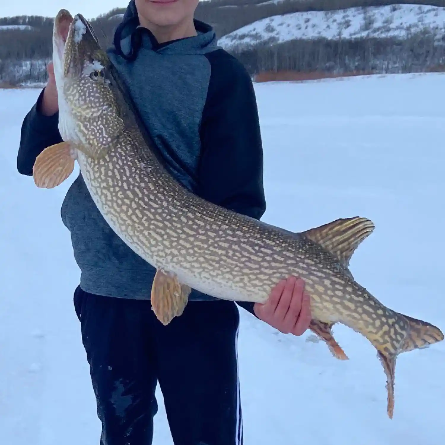 Ice Fishing Monster Pike on Lake of the Prairies – Fishing Prairie