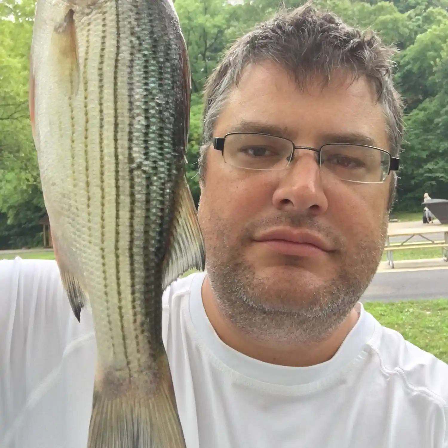 ᐅ Kiser Lake fishing reports🎣• Urbana, OH (United States) fishing