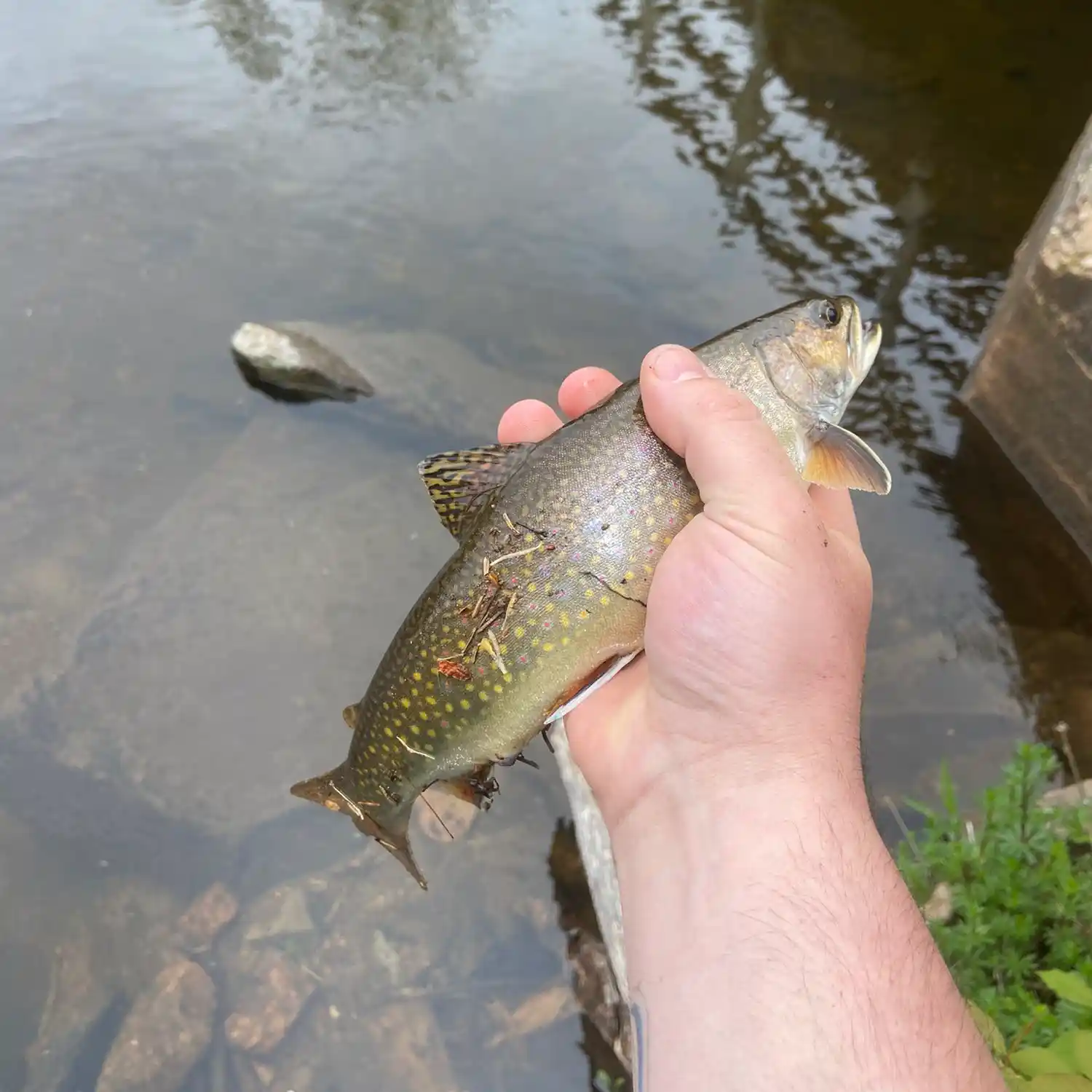 Nova Scotia Fishing Licence Only Available Online – Margaree