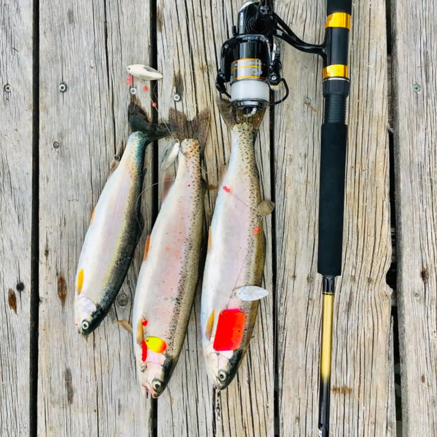 Fishing Lures for sale in Welland, Ontario