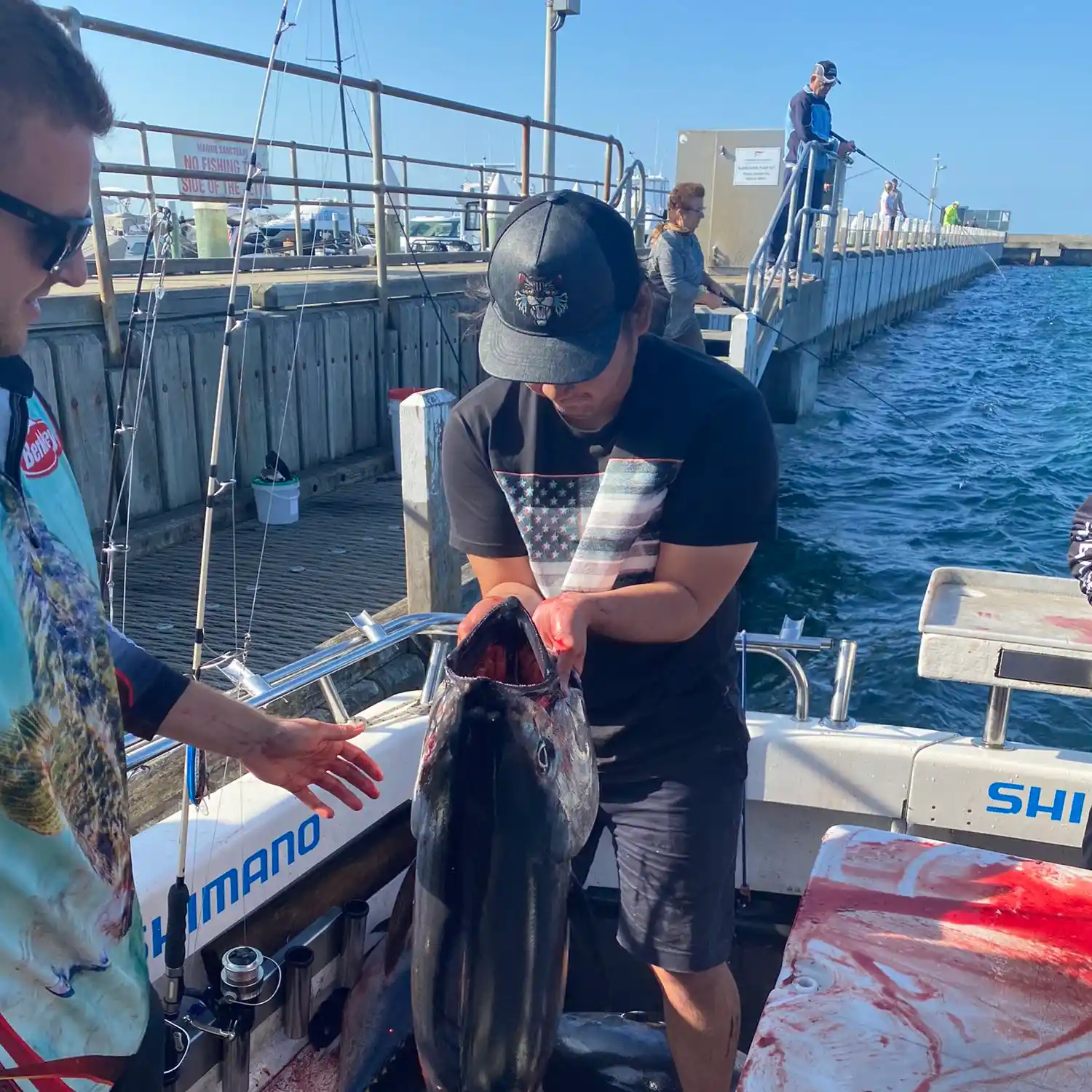 Blairgowrie Pier Fishing Guide