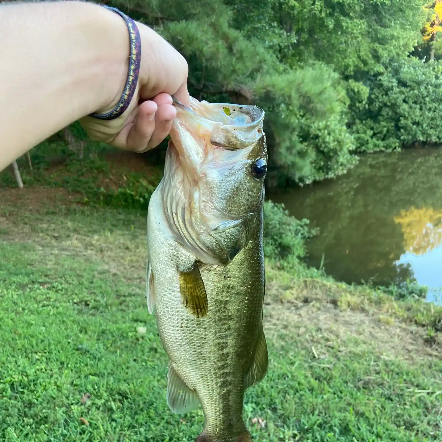 FISHING - Dover Marine